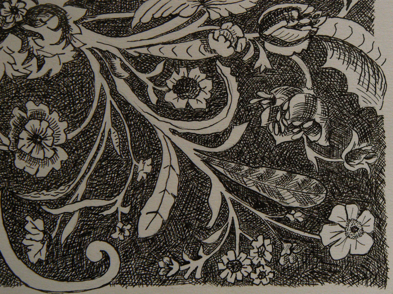 flowers-illustration-1