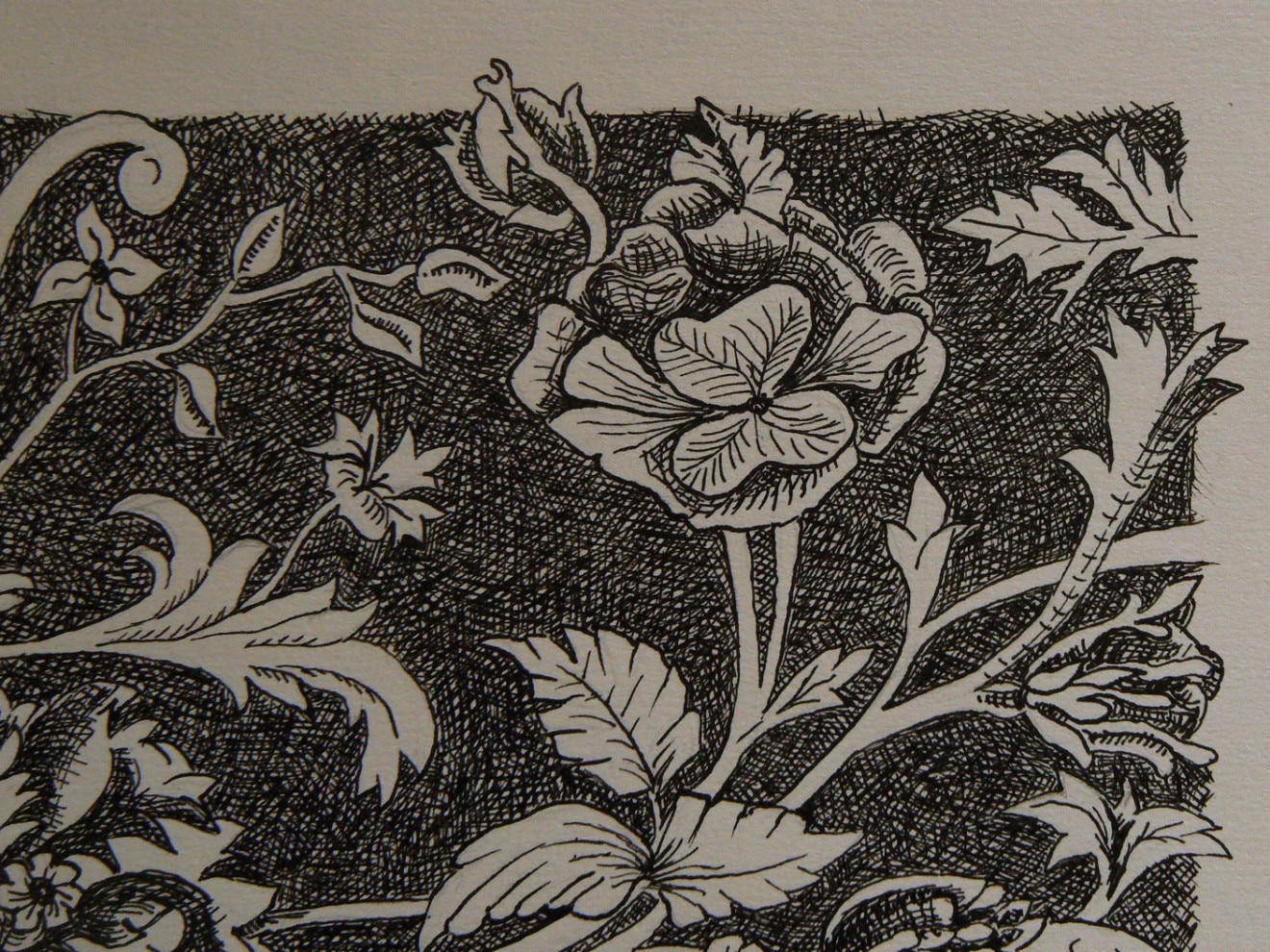flowers-illustration-2